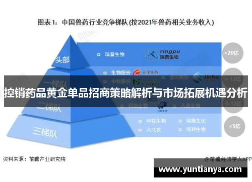 控销药品黄金单品招商策略解析与市场拓展机遇分析